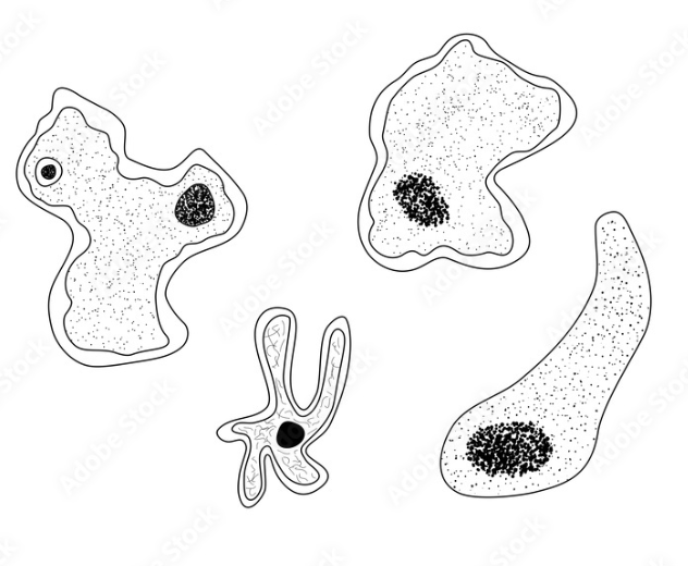 Single cells together